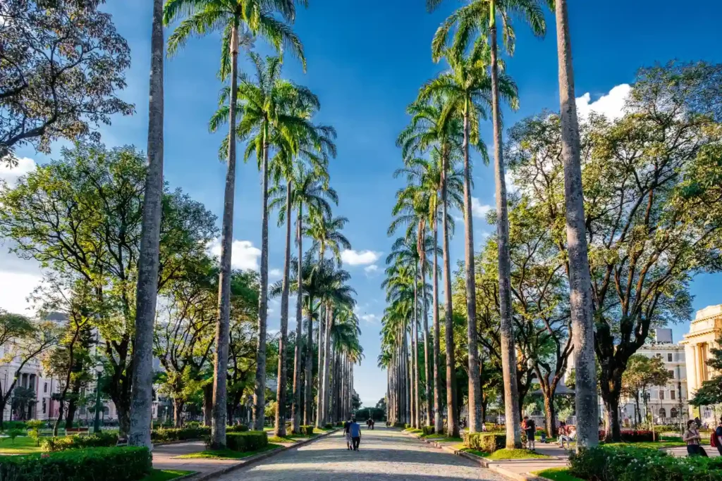 19 Things To Do In Havana Cub