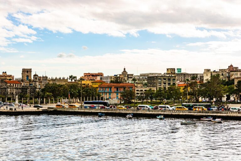 Weathered city buildings and trees line a waterfront road beside the sea under a cloudy sky.